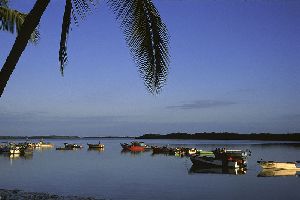 Port Pizarro Mangroves